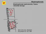 img-Bisphosphonates-0009.jpg