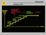 img-phenacetin-0047.jpg