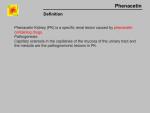 img-phenacetin-0051.jpg