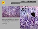 img-Vitamin D and analogues-0002.jpg