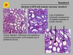 img-Vitamin D and analogues-0003.jpg