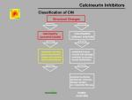 img-Calcineurin inhibitors-0012.jpg