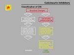 img-Calcineurin inhibitors-0019.jpg