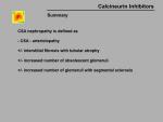 img-Calcineurin inhibitors-0039.jpg